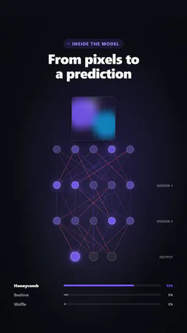 Neuronales Netz